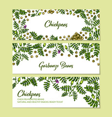 Set of colorful horizontal chickpeas designs. Hand drawn illustration in colored sketch style. Botany template for packaging, banner, poster