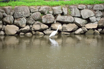 鳥取城跡