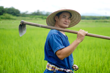 Asian man farmer is at paddy field, wears hat, blue shirt and holds a hoe on his shoulder. Concept organic farming. No chemical. Using traditional manual tool in stead of use herbicide. Zero pollution