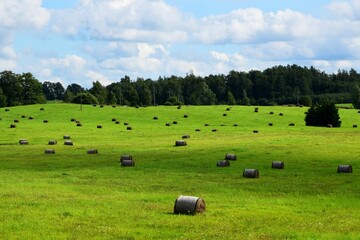 Scenic view of hay bales in a green field in the countryside
