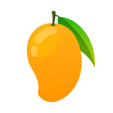 mango vector illustration logo icon clipart