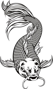 black and white koi fish swimming upwards clip art preview