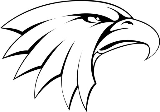 Bald eagle head icon