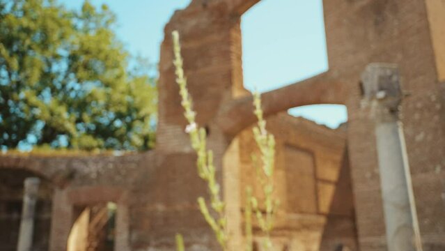 Tivoli_Villa Adrianna_Mise au point_Nature_Ruine