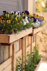 Flowers in an alternative garden