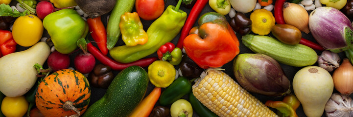 Background with fresh autumn vegetables, organic healthy farm products banner, top view