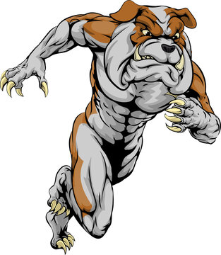 Bulldog sports mascot running