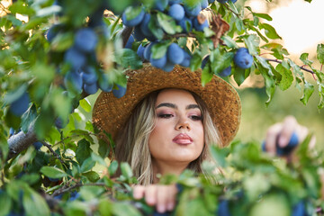 Farm girl picking plums in the orchard