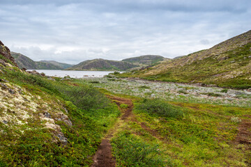 Summer landscape of green polar tundra with boulders in the foreground. Northern nature in the vicinity of Teriberka (Kola Peninsula, Russia)