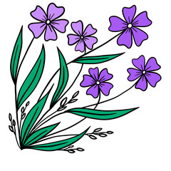 Hand drawn floral bouquet with purple flowers green leaves, corner composition. Garden wild flowers periwinkle, elegant simple minimalist design, sketch bloom plant herb, outdoor nature.