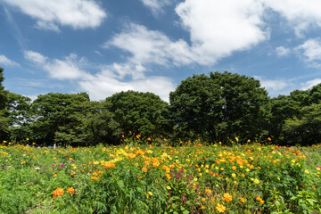 ハーブガーデン