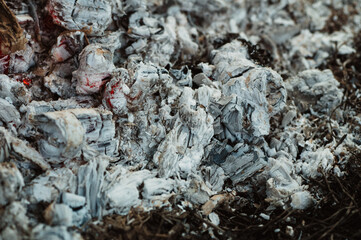 Coal after fire, after cooking kettle goulash, detail, beautiful grey background, 
