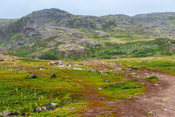 Fototapeta na wymiar Summer landscape of green polar tundra with boulders in the foreground. Northern nature in the vicinity of Teriberka (Kola Peninsula, Russia)