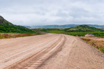 Dirt road in a polar landscape with granite stones and plants
