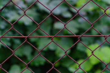 Fototapeta premium 錆びた金網フェンス２