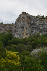 Fototapeta na wymiar forest and rocks of the Burunchak plateau