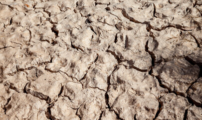 dry ground background with cracks
