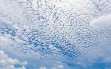 The blue sky and white clouds float in the sky on a clear day with warm sunlight. combined with the cool breeze blowing into the body This results in a wonderfully heavenly freshness.