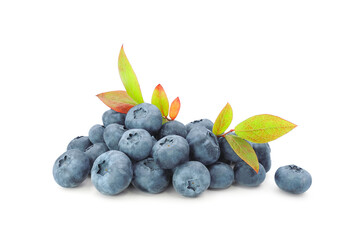 Heap of ripe great blueberry with autumn colorful leaves isolated on white background  
