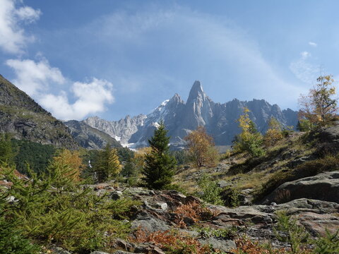 Les Drus