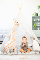 a baby boy in a bright children's playroom with a wigwam and a giraffe playing with wooden toys with cubes, child development © Any Grant