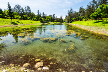 Fototapeta premium Beautiful view of Pipa Lake at Taitung Forest Park in Taiwan. The scenic Pipa Lake is a habitat of aquatic animals and plants.
