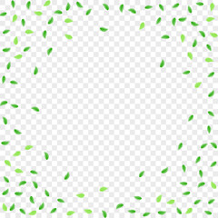 Light Green Leaves Background Transparent Vector. Vegetation Aroma Texture. Decor Illustration. Green Flora Design. Foliage Growing.