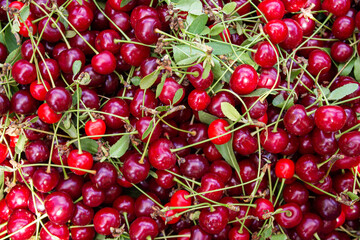 Sour cherry background, top view