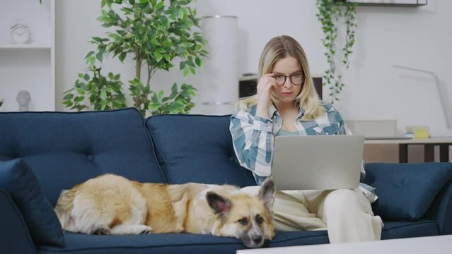 Cute welsh corgi dog lying sofa near busy female owner working on laptop