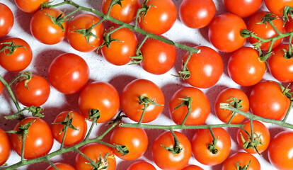 Background of cherry tomatoes on the branch.