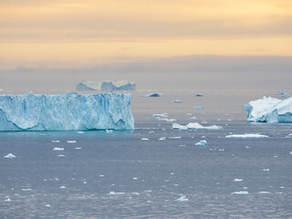 Enormous icebergs seen during the midnight sun, Disko Bay north of the Artic Circle near Ilulissat,...