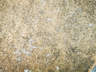 old grunge texture background perfect background with space and decorate the website
