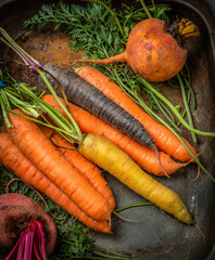 Fresh organic carrots and beet roots