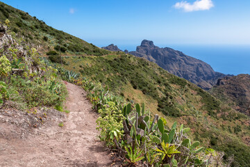 Coastal hiking trail through the Teno mountain massif, Tenerife, Canary Islands, Spain, Europe. Path leading to remote mountain village Masca. Scenic view of Atlantic Ocean and unique rock formations