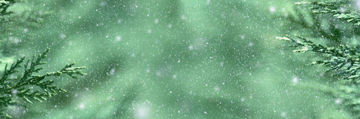 Green fir tree branches and snowflakes. Christmas or Happy New Year background Banner with copy space
