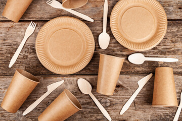 Disposable paper biodegradable cups, plates, spoons, forks and knives