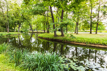 Landscape in the park with trees and green grass field and a pond