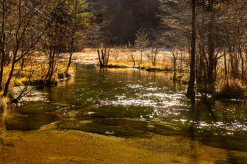 Obraz premium Fall Autumn color of Japan Alps area