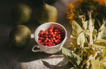 Cup of Lingonberries, fall aesthetics