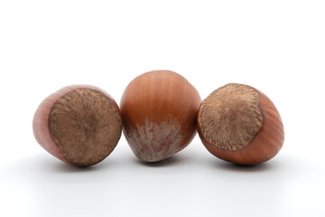 Hazelnuts on white background, cropped image