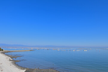道の駅太良の展望台から望む有明海