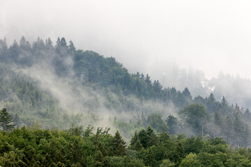 Grauer Himmel mit Nebelschwaden über Waldkuppe
