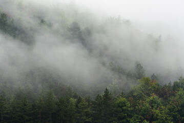 Wolken im Hang im Thüringer Wald