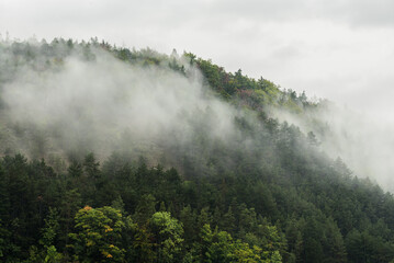 Wolken im Hang im Thüringer Wald