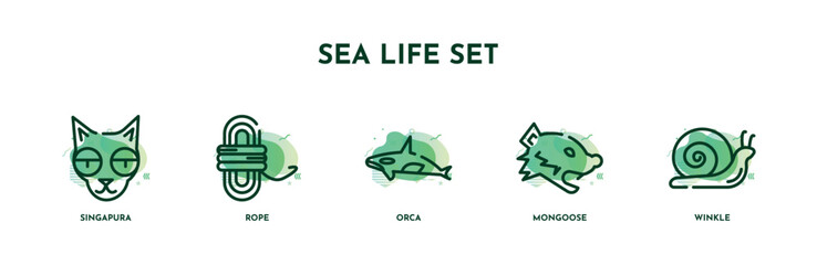 Fototapeta na wymiar set of 5 thin line sea life set icons. outline icons including singapura, rope, orca, mongoose, winkle vector. can be used web and mobile.