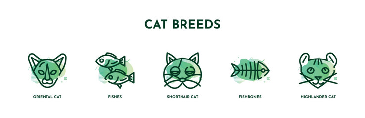 Fototapeta na wymiar set of 5 thin line cat breeds icons. outline icons including oriental cat, fishes, shorthair cat, fishbones, highlander vector. can be used web and mobile.
