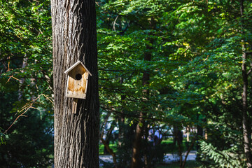 wooden birdhouse nesting box on the tree