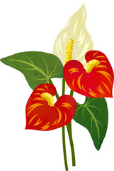 Water color texture botanic garden plant red anthurium flamingo flower