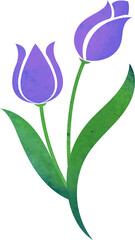 Water color texture botanic garden plant flower purple tulip