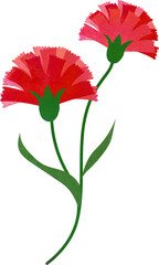 Water color texture botanic garden plant flower red carnation